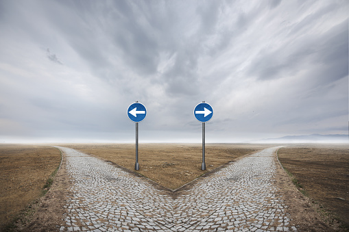 road splitting two ways into the distance with signs with arrows points either way